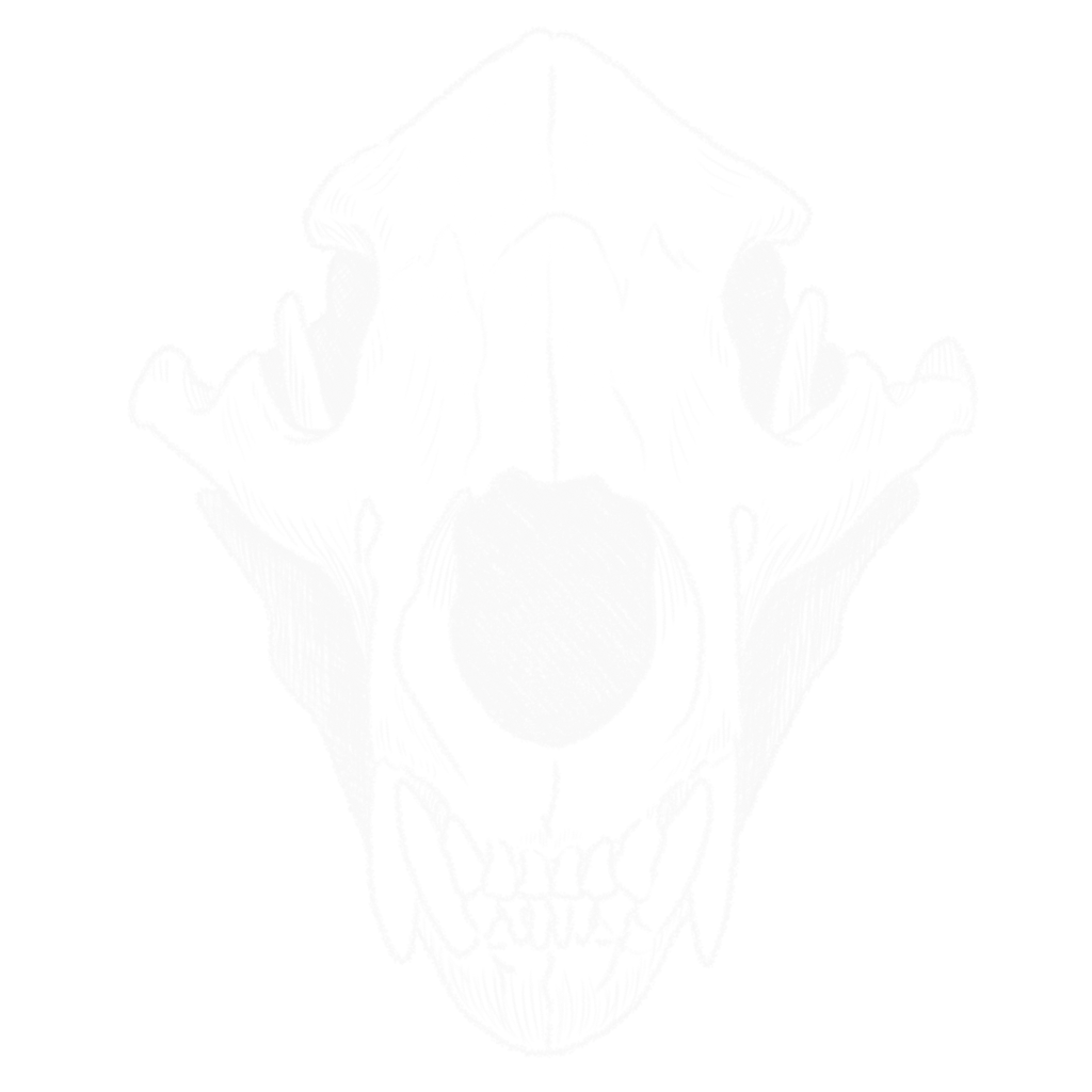 Skull_Bonk