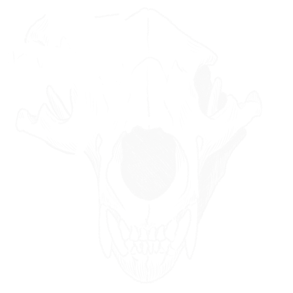 Skull_Explosion